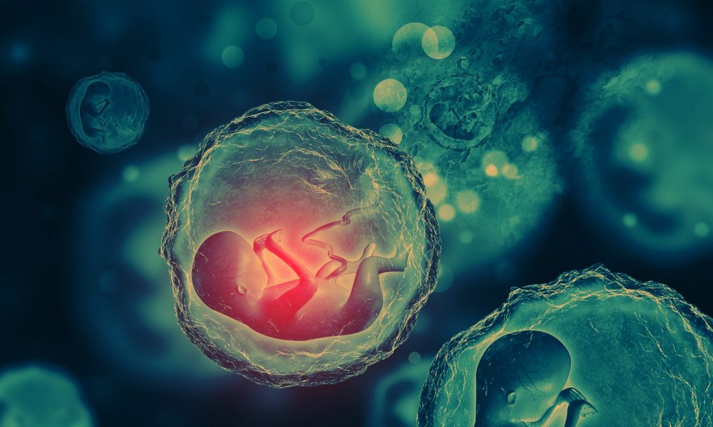Scientists prompt hopes for an artificial womb within generations