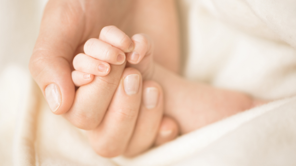 Breastfeeding Nouri pump duo