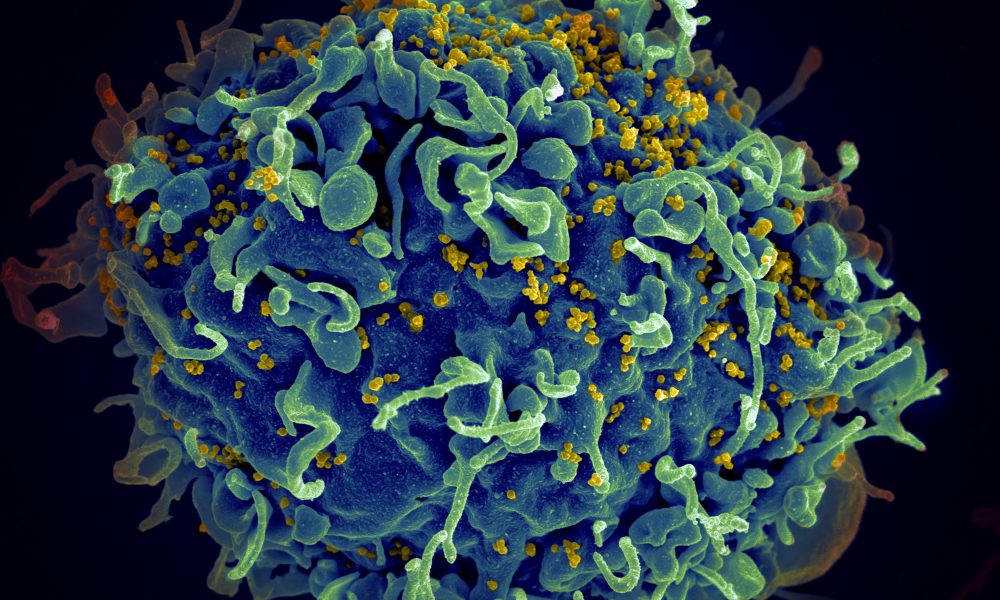New partnership aims to plug cancer care gap