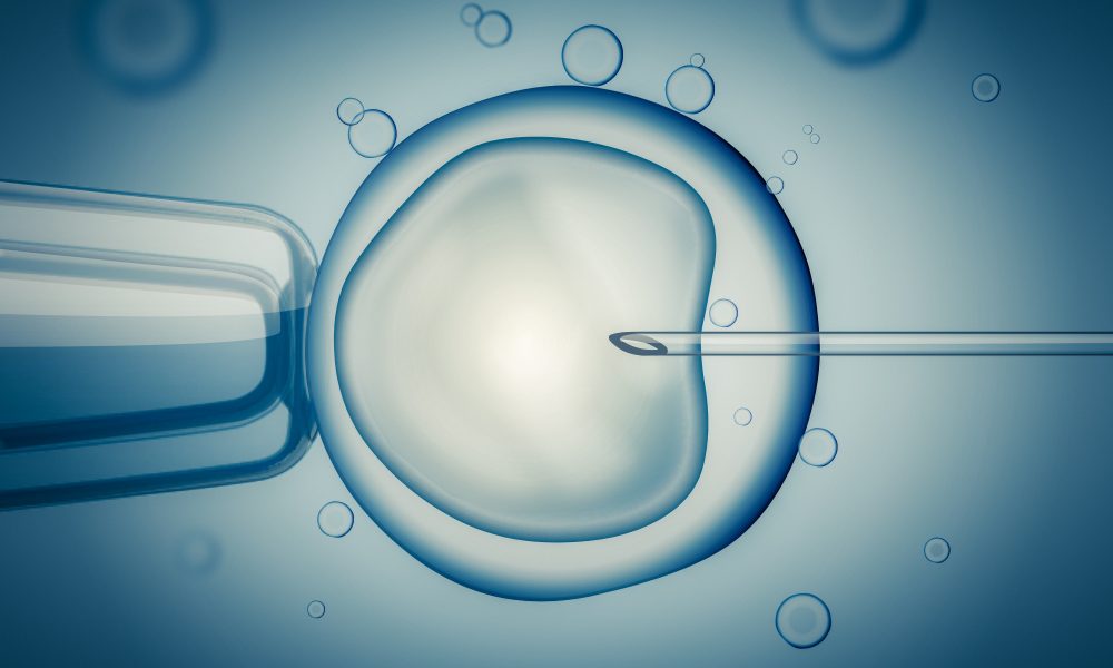 Parisian start-up raises US$2.5m to ‘maximise’ IVF success rates
