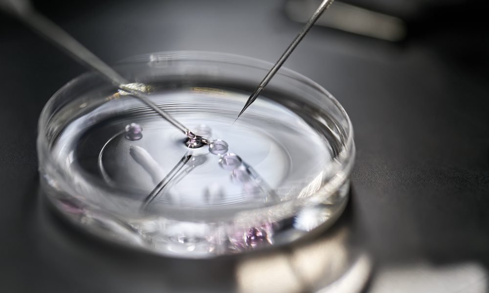 Micro-device shown to improve embryo quality, raising hopes of IVF ...