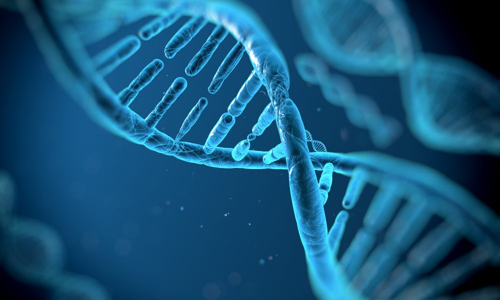 Endometriosis rooted in genetics, say researchers