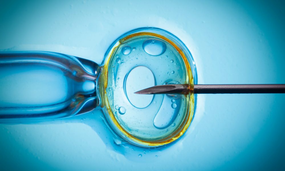 Exposing IVF errors key to improving standard of care, say embryologists