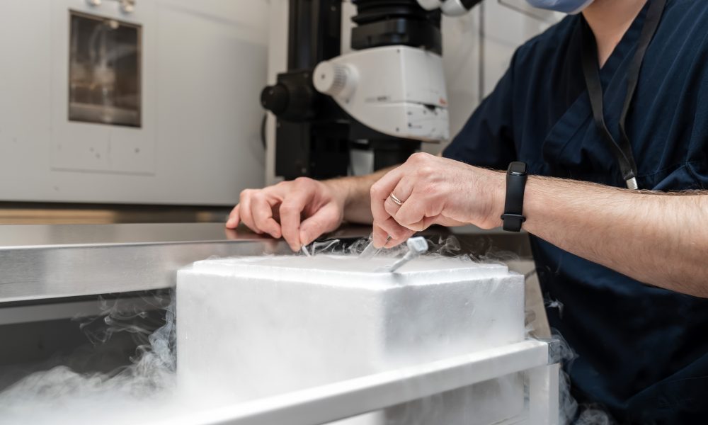 Future Fertility and GeneraLife embark on scientific collaboration to assess donor egg quality using AI