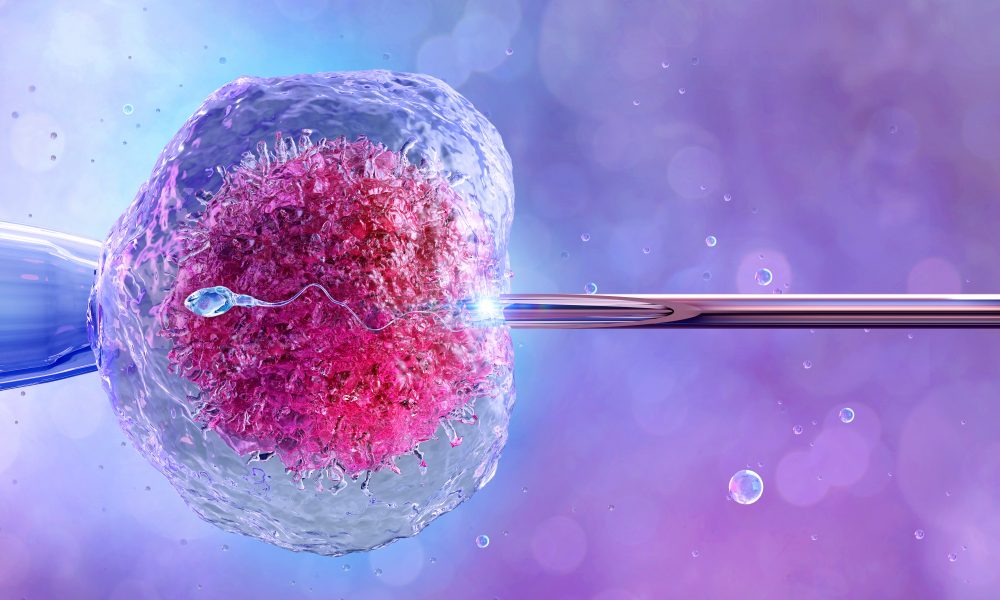 IVF success rates higher if egg collection is done in the summer, say researchers