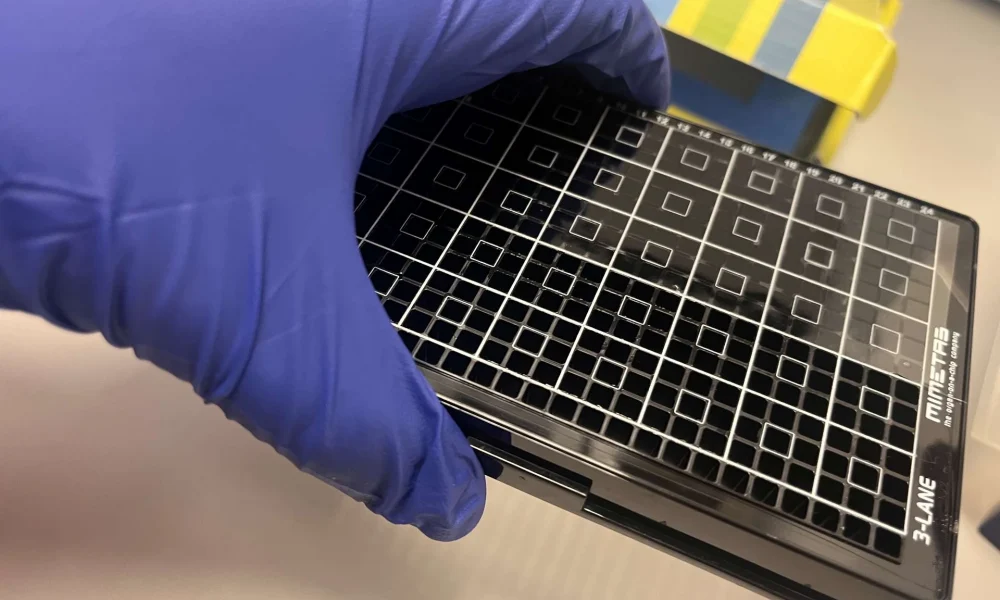 iPlacenta – an example plate utilised by the Dundee team-1 Scottish scientists develop world-first ‘micro-placenta’