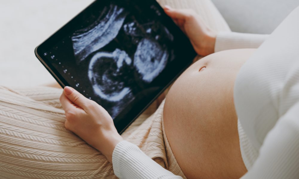 Research to treat placenta could improve human pregnancies