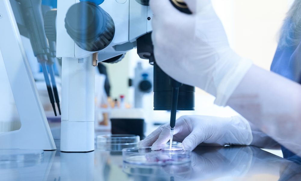 Research roundup: biodegradable contraceptive to be developed, impact of the microbiome on fertility and more