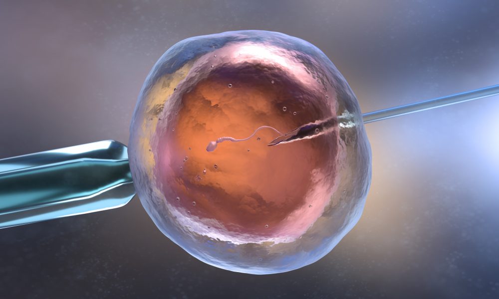 US fertility clinic introduces ‘AI-powered’ embryo selection tool