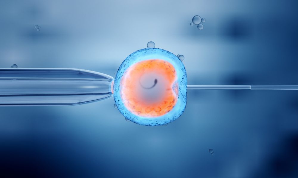 Scientists discover non-invasive test for embryo quality