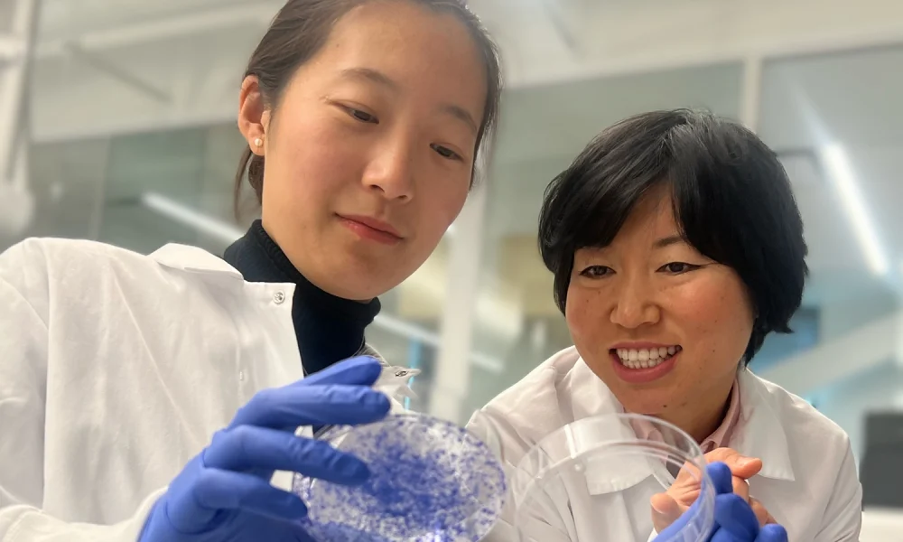 Researchers uncover ‘on/off switch’ for breast cancer metastasis