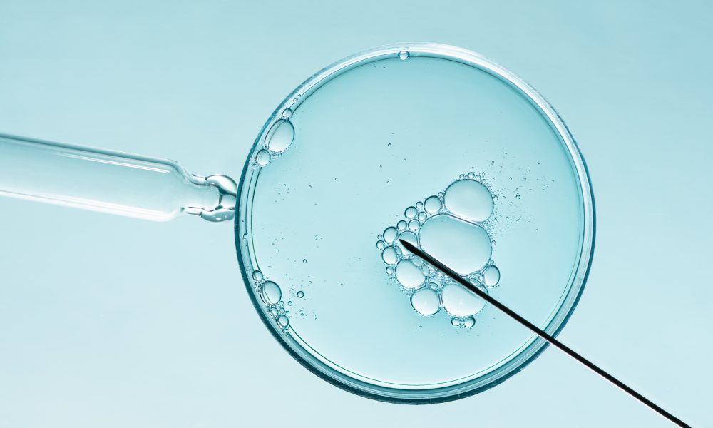 Common IVF add-on may be ‘a waste of time’, says study