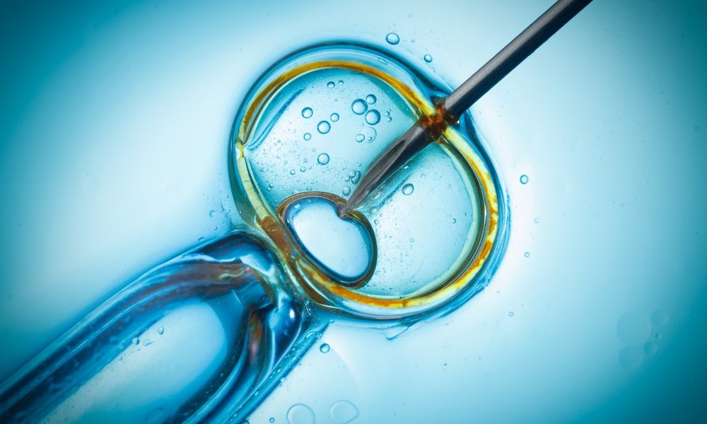 Endometrial immune profiling and precision therapy lead to higher live IVF birth rates