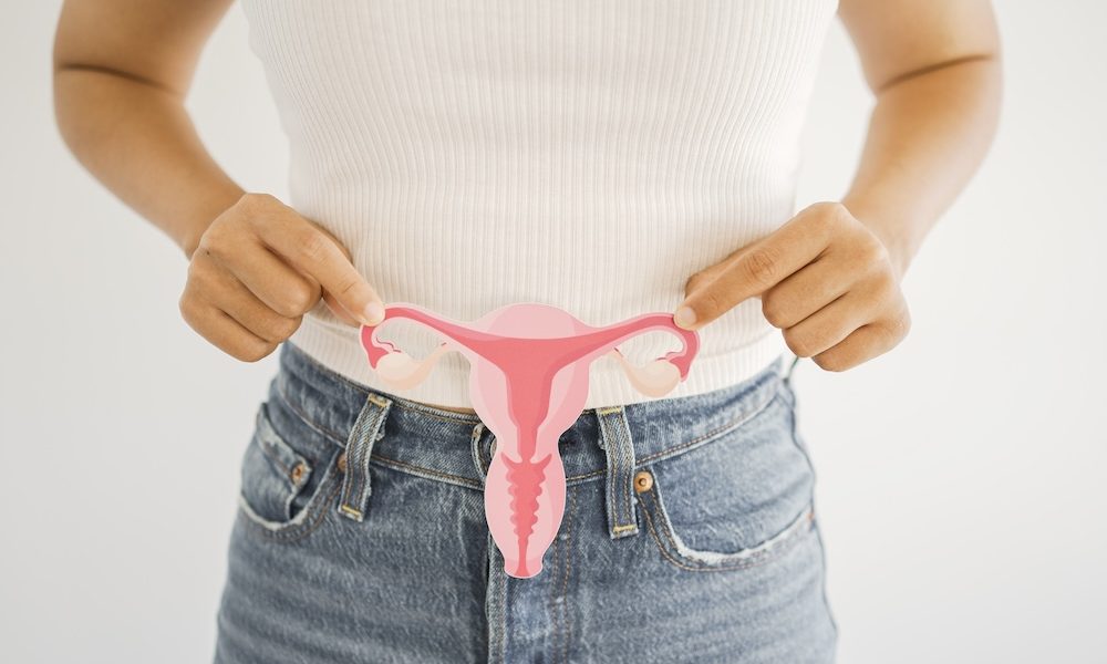 Woman hands holding uterus, female reproductive system , woman health, PCOS, gynecologic and cervix cancer concept $2.5m grant to support development of novel contraceptive technology
