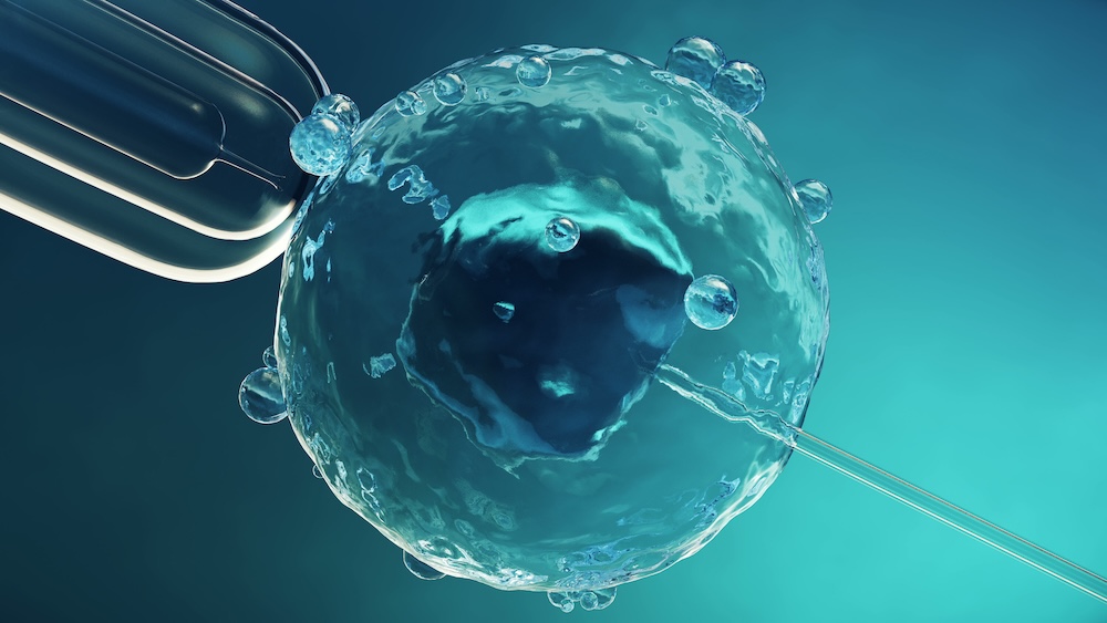 Cofertility closes Series A funding