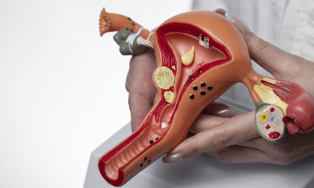 Scientists develop mini-ovaries that could advance infertility research