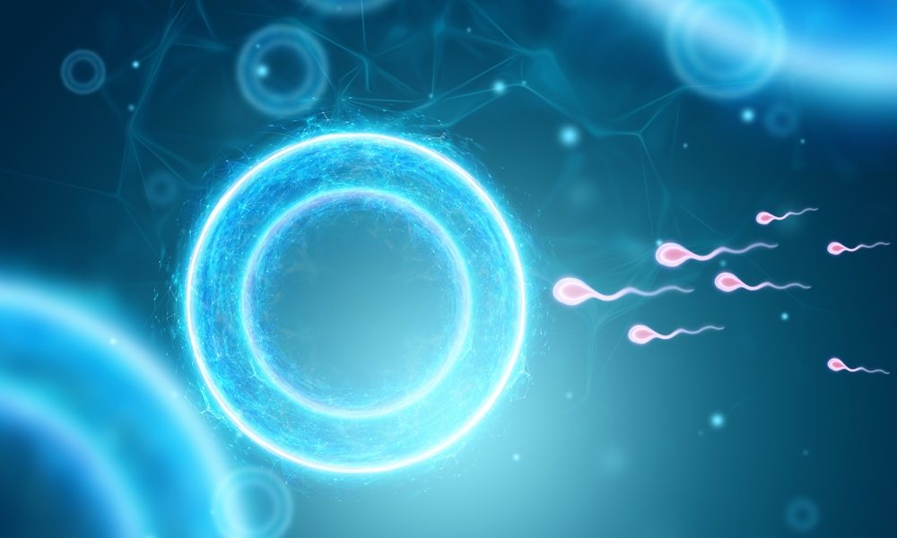 Doctors report first pregnancy using AI system to detect sperm in men previously considered infertile