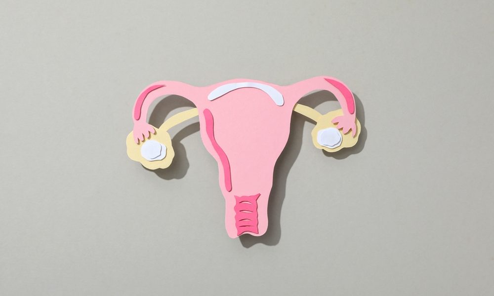 Paper uterus on gray background, top view Most midlife women with menopause symptoms don’t seek care, research finds