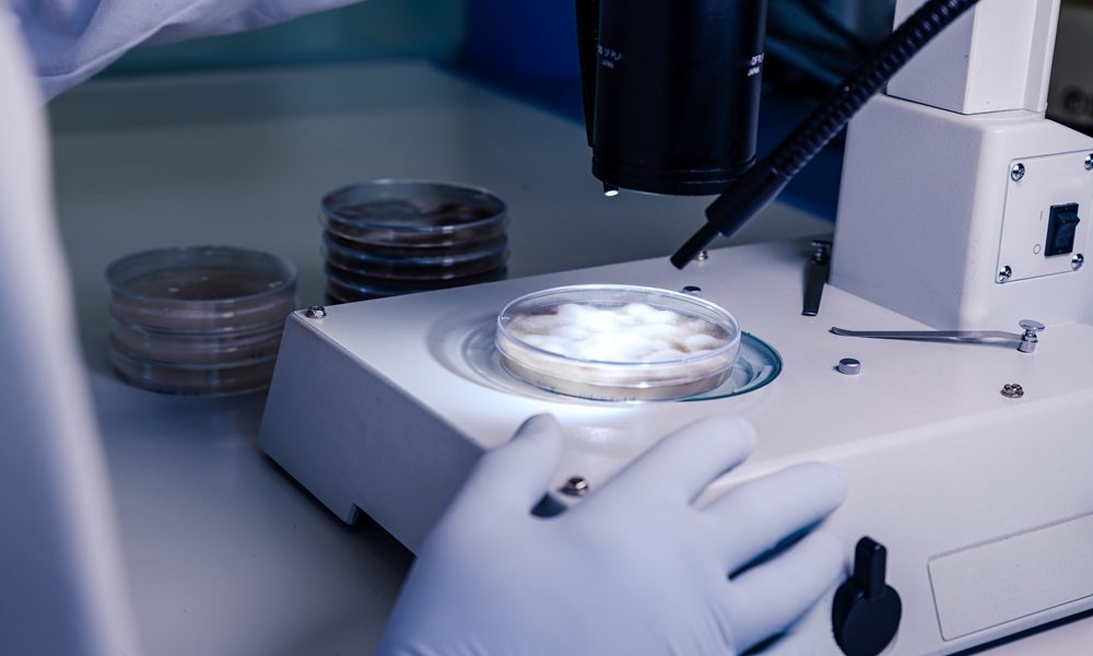 Patients take legal action to save frozen embryos after admin error