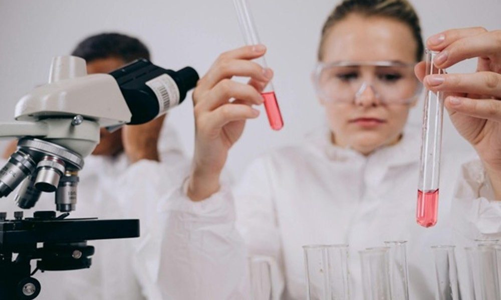 1 Tissue Repair Mechanisms: Comparing BPC-157 10mg and TB-500 in Research