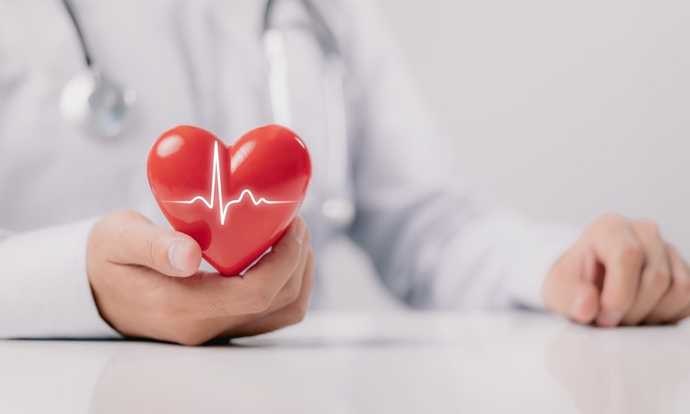 Study reveals how oestrogen protects women from high blood pressure