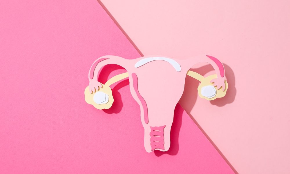 Softening ovaries could extend fertility as women age, study suggests