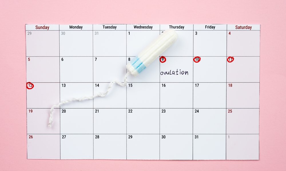Quarter of women miss work due to menstual symptoms, survey finds