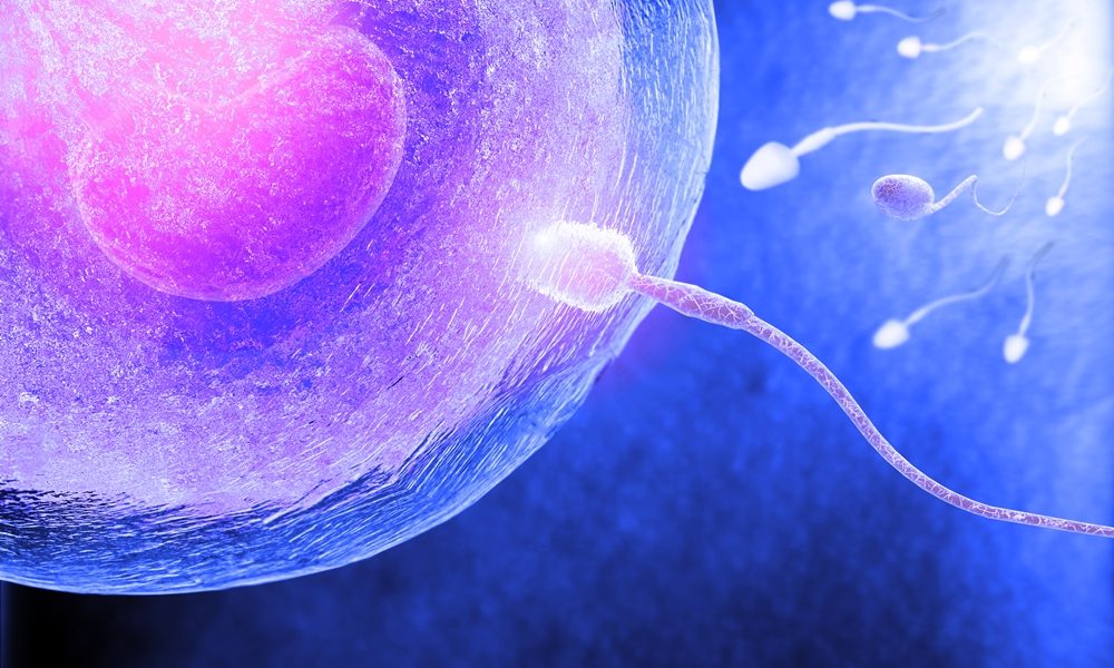 Higher doses of common fertility drug may increase pregnancy risks