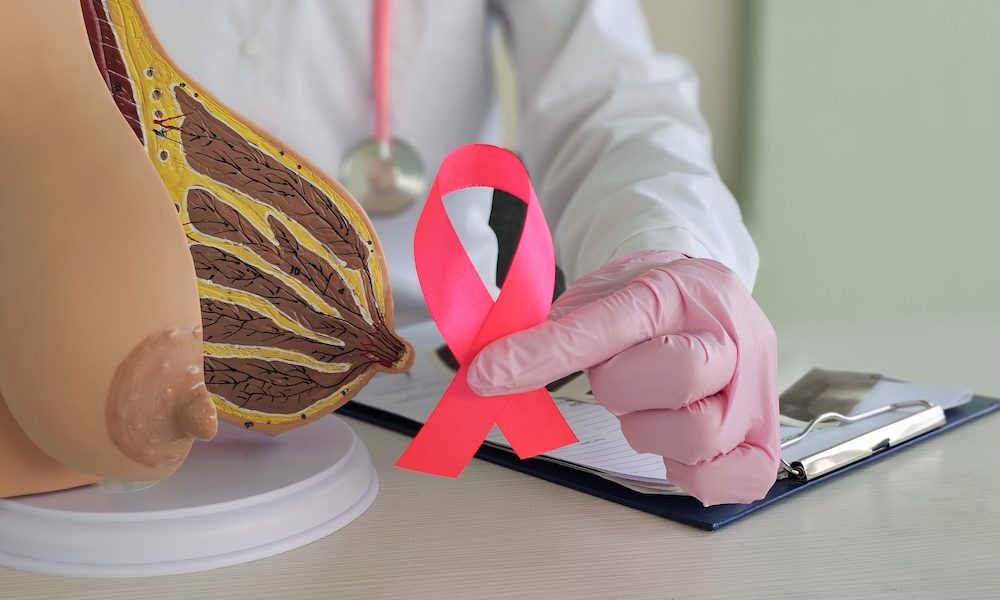 Study could explain why obesity is a breast cancer risk factor